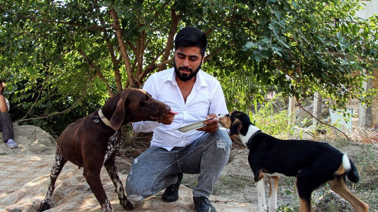Adana'da köpeğe sopalı saldırı: Komşuya tepki gösterildi
