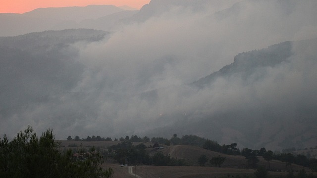 Kozan'da orman yangını yerleşim yerine yaklaştı