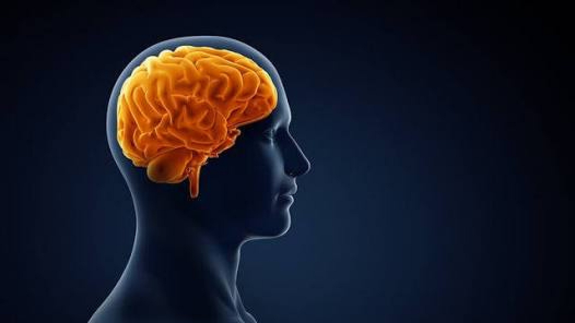 Alzheimer hastaları sosyal yaşamda yer almalı