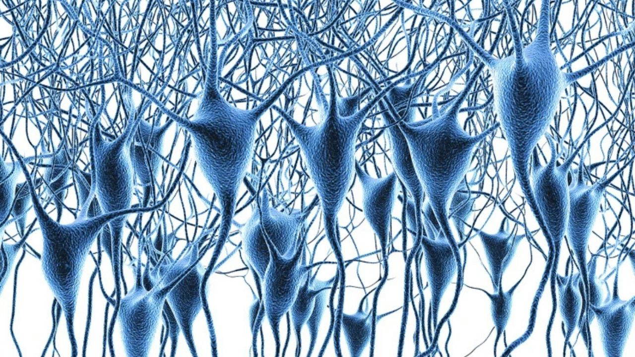 Alzheimer'ın şifresi çözüldü: 6 milyon hücre haritalandı