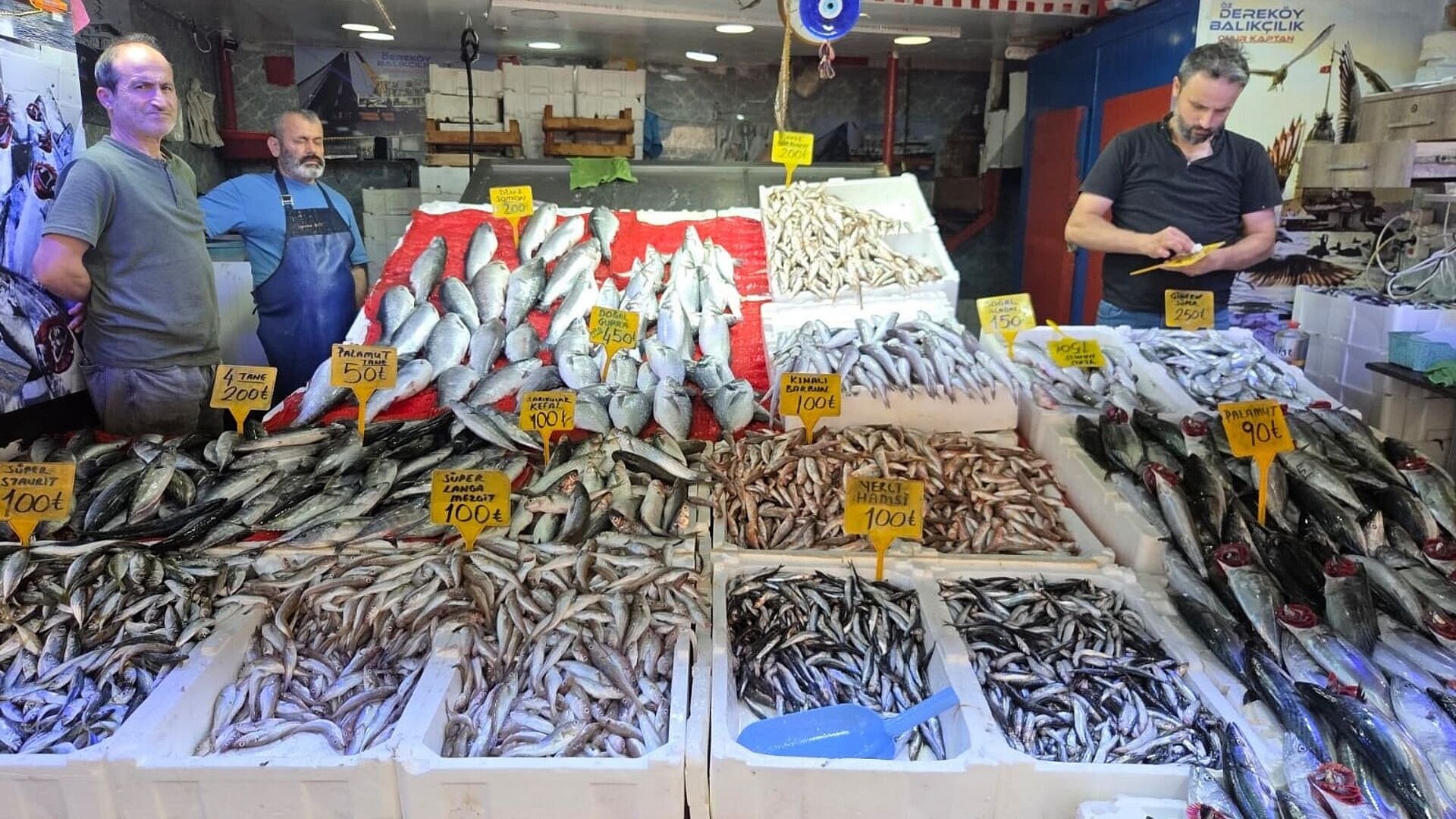 Balık fiyatları düştü: Palamut tanesi 50 lira