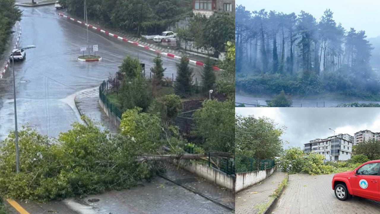 Bartın'da kuvvetli rüzgar elektrik kesintisine yol açtı