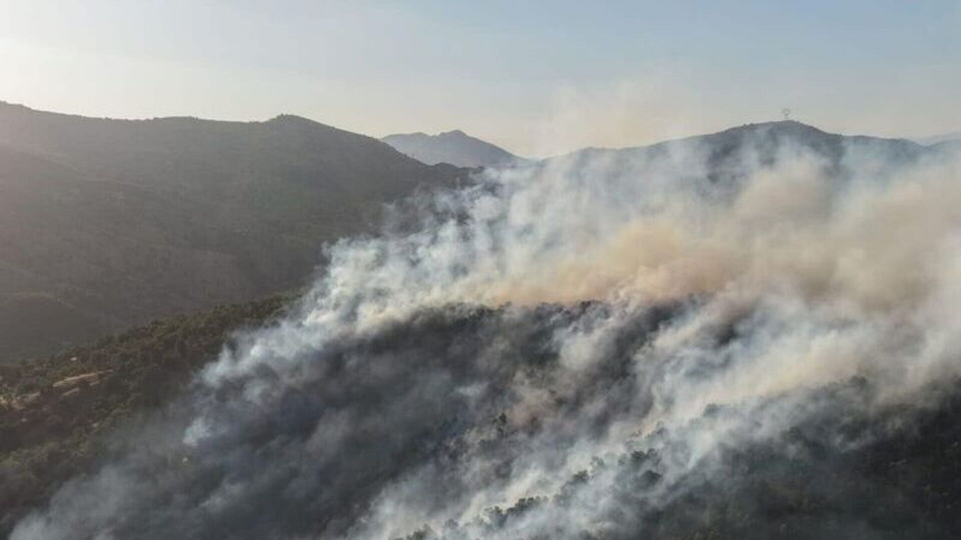 Bingöl'de orman yangını çıktı, alevlere müdahale edildi