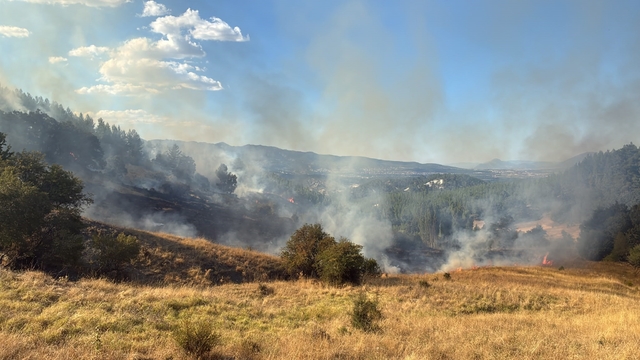 Burdur'da orman yangını kontrol altına alındı
