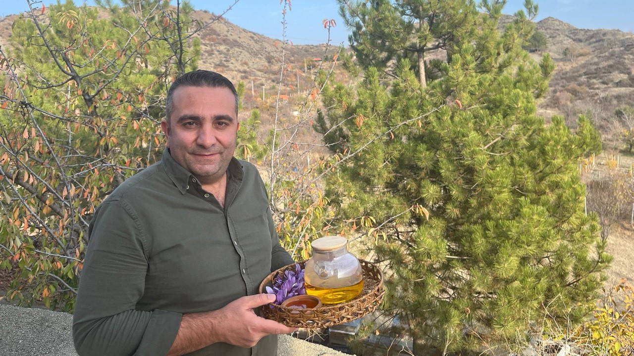 Kırmızı altın safran tarlası açıldı, herkes koşacak!