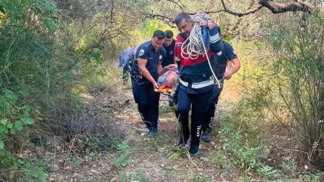 Defne'de ağaçtan düşen vatandaş hastaneye kaldırıldı