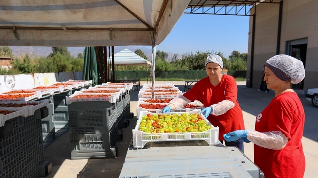 Efeler'de kadın emeğiyle kış hazırlıkları hız kazandı