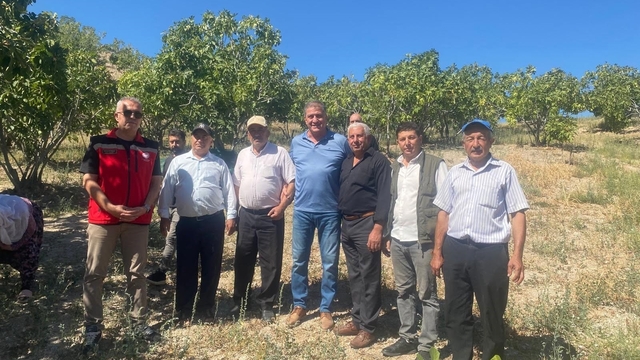 Efeler Kaymakamı Arıkan, Gölcük Mahallesi'nde hasat yaptı