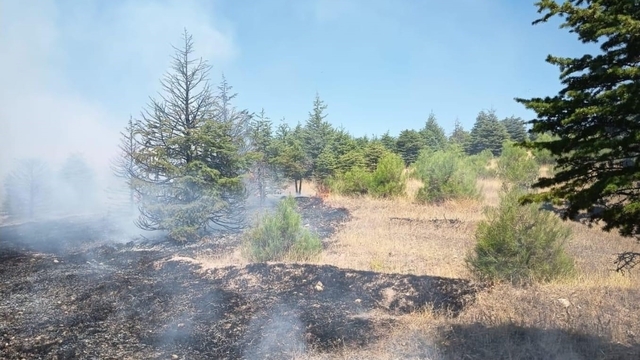 Elazığ'da ağaçlık alanda örtü yangını kontrol altına alındı