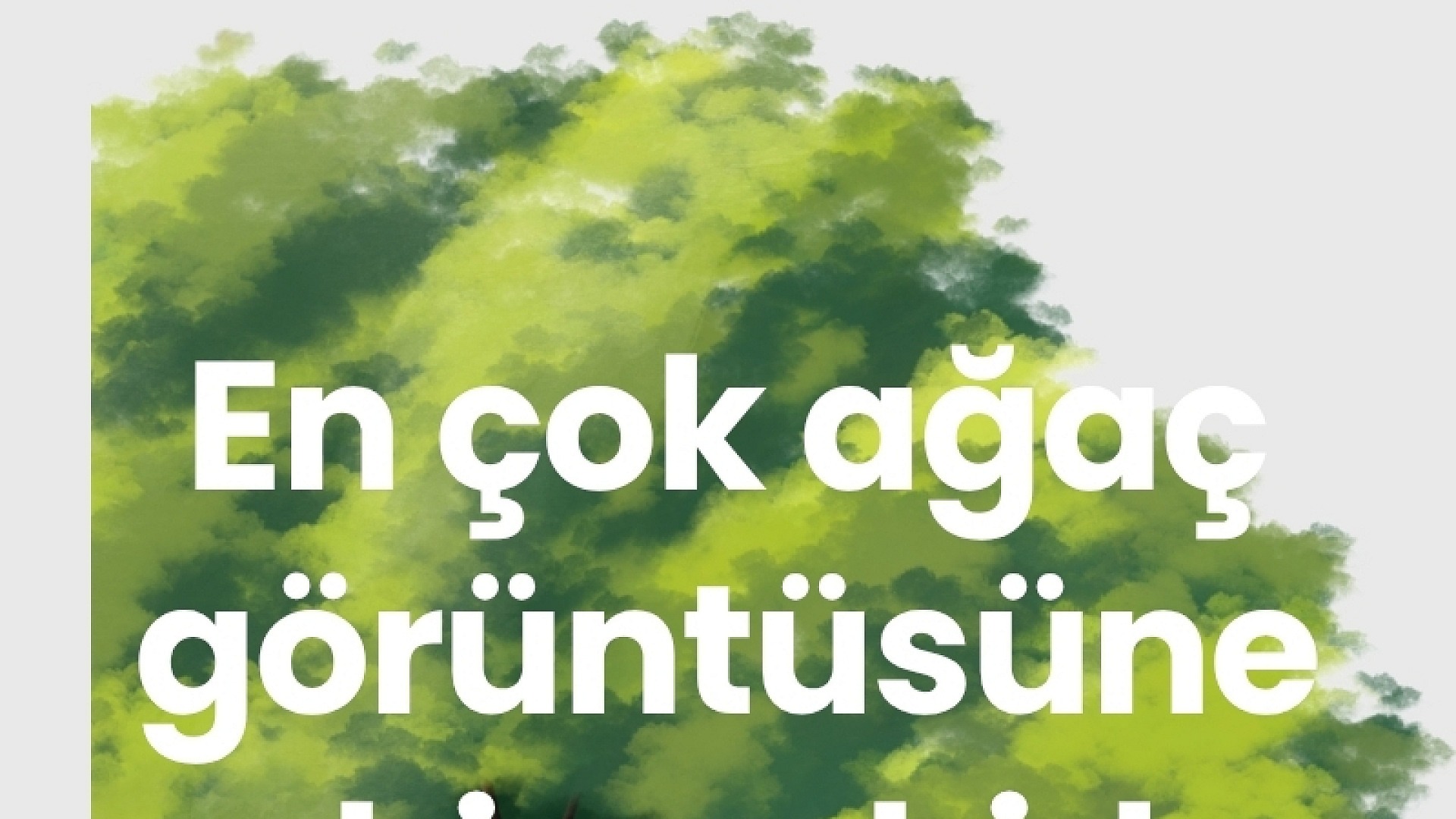 Dünyanın en yeşil şehirleri ağaç görüntüleriyle belirlendi