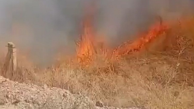 Ereğli'de iki farklı noktada yangın paniği yaşandı
