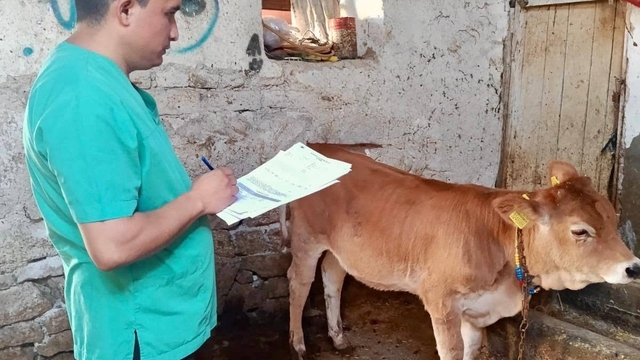 Evciler'de hayvancılık işletmelerine kontrol yapıldı