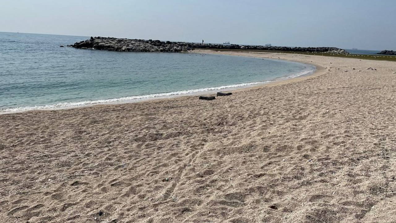 İstanbul'da 2 plaj kapatıldı, halk sağlığı tehlikede