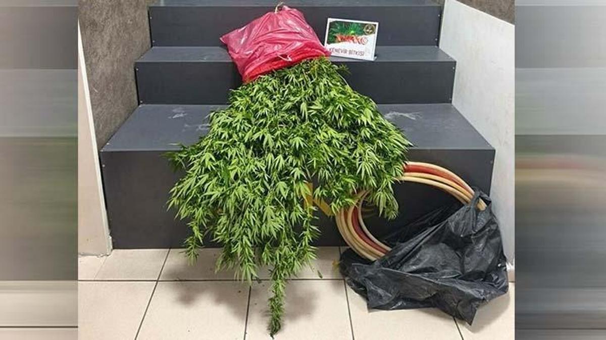 İzmir Konak'ta uyuşturucu operasyonu, 1 kişi tutuklandı
