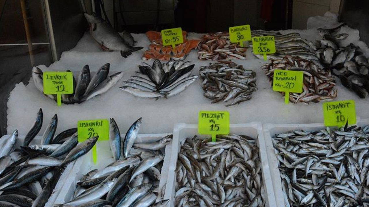 Karadeniz'den palamut bereketi, tanesi 125 lira
