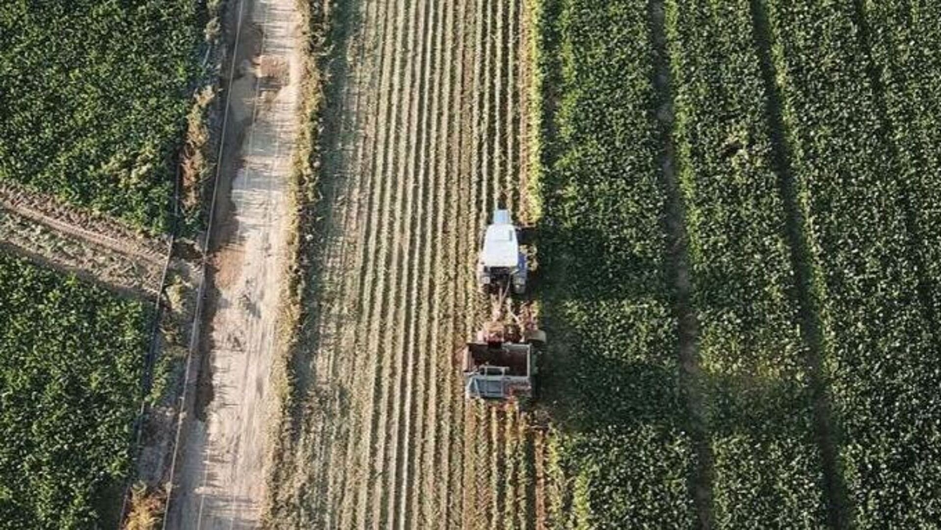 Kırsal kalkınma projelerine 12,5 milyar lira hibe desteği