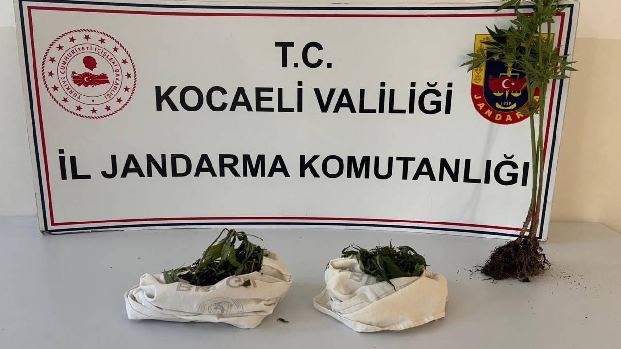 Kocaeli'de uyuşturucu operasyonu: 3 adrese baskın yapıldı