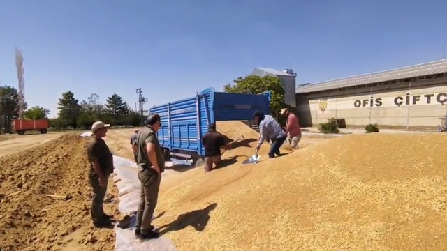 Konya'da TMO, 2 milyon ton hububat alımı gerçekleştirdi