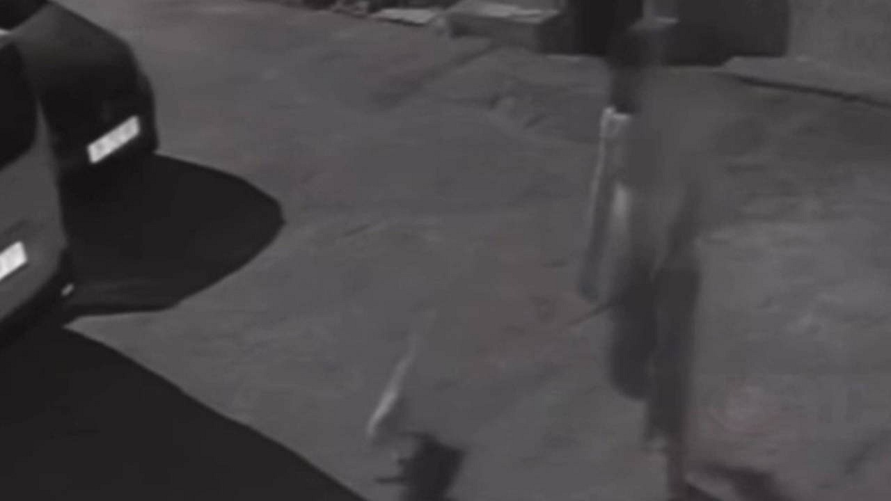 Köpeği tekmeleyen S.Ö. gözaltına alındı, büyük tepki çekti