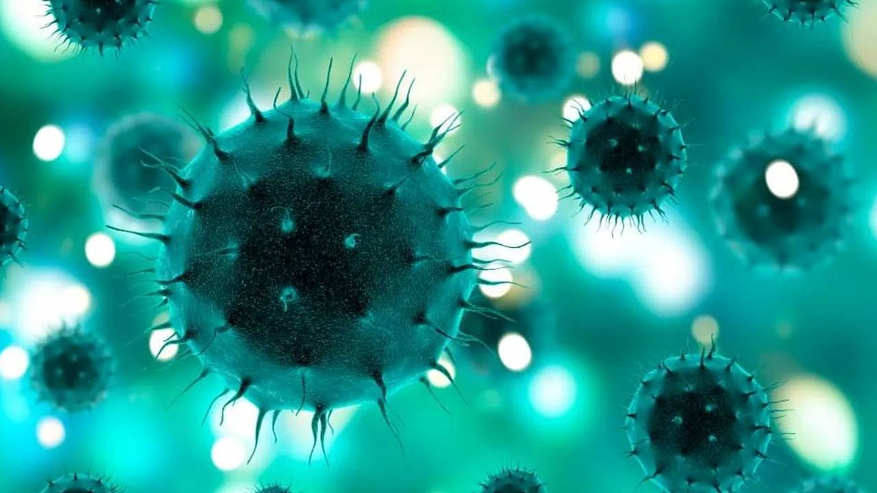 Kuduz alarmı: 570 bin riskli temas kaydedildi