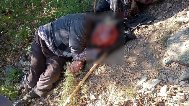 Kuşburnu toplarken 30 metreden düşerek yaralandı