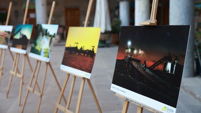 Manisa'da bağ bozumu fotoğraf yarışmasında ödüller verildi