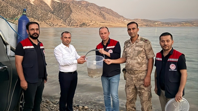 Mardin Ilısu Barajı'na 1 milyon şabut balığı salındı