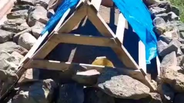 Rize'de mezarı ayılardan korumak için ses düzeni kuruldu