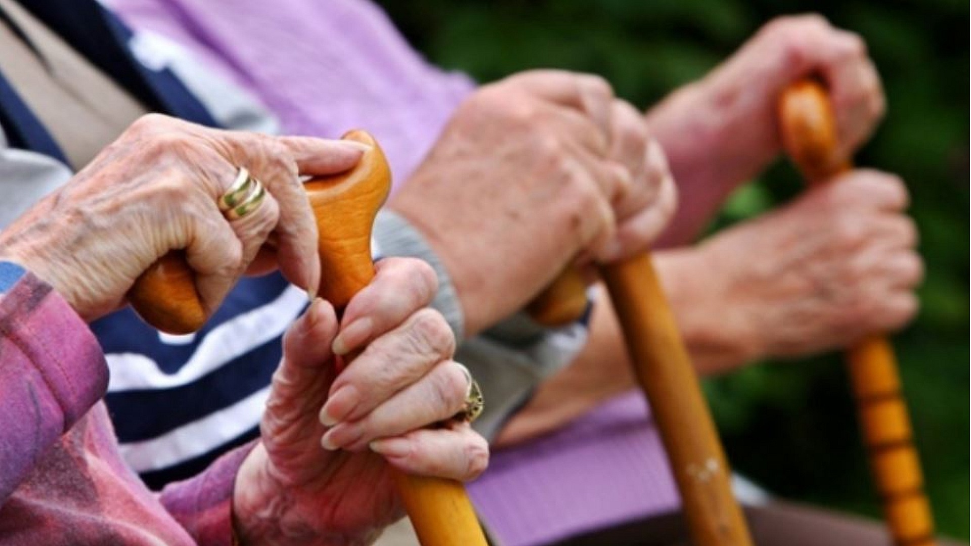 Nüfus yaşlanması için OECD'den yeni vergi önerileri