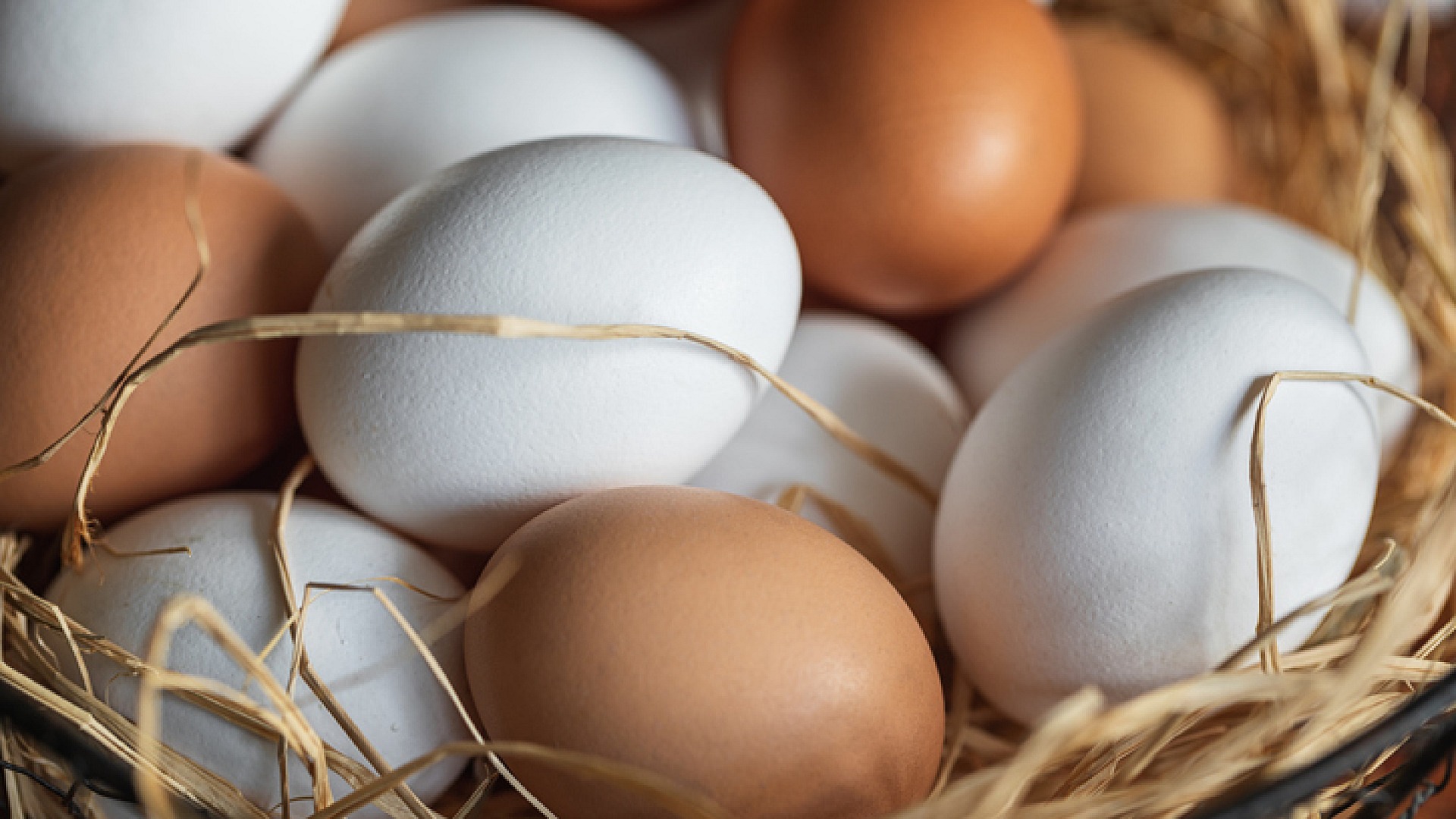 Rüyada yumurta görmek ne anlama geliyor?