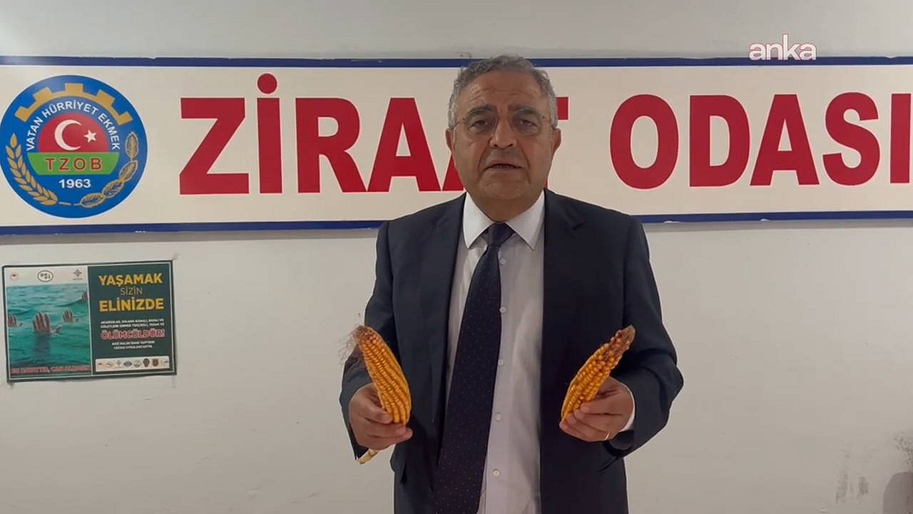 Sezgin Tanrıkulu'ndan iktidara mısır çağrısı