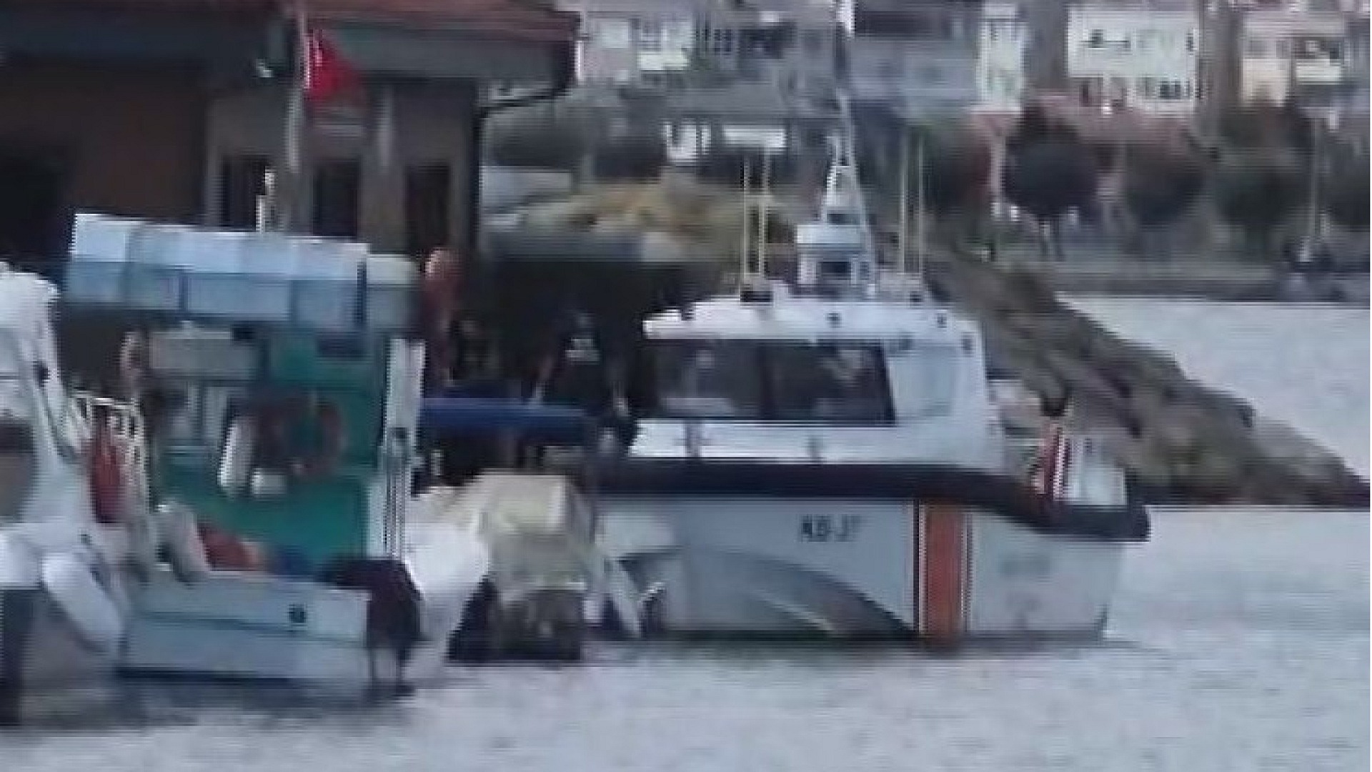 Silivri açıklarında ceset bulundu, Adli Tıp'a sevk edildi