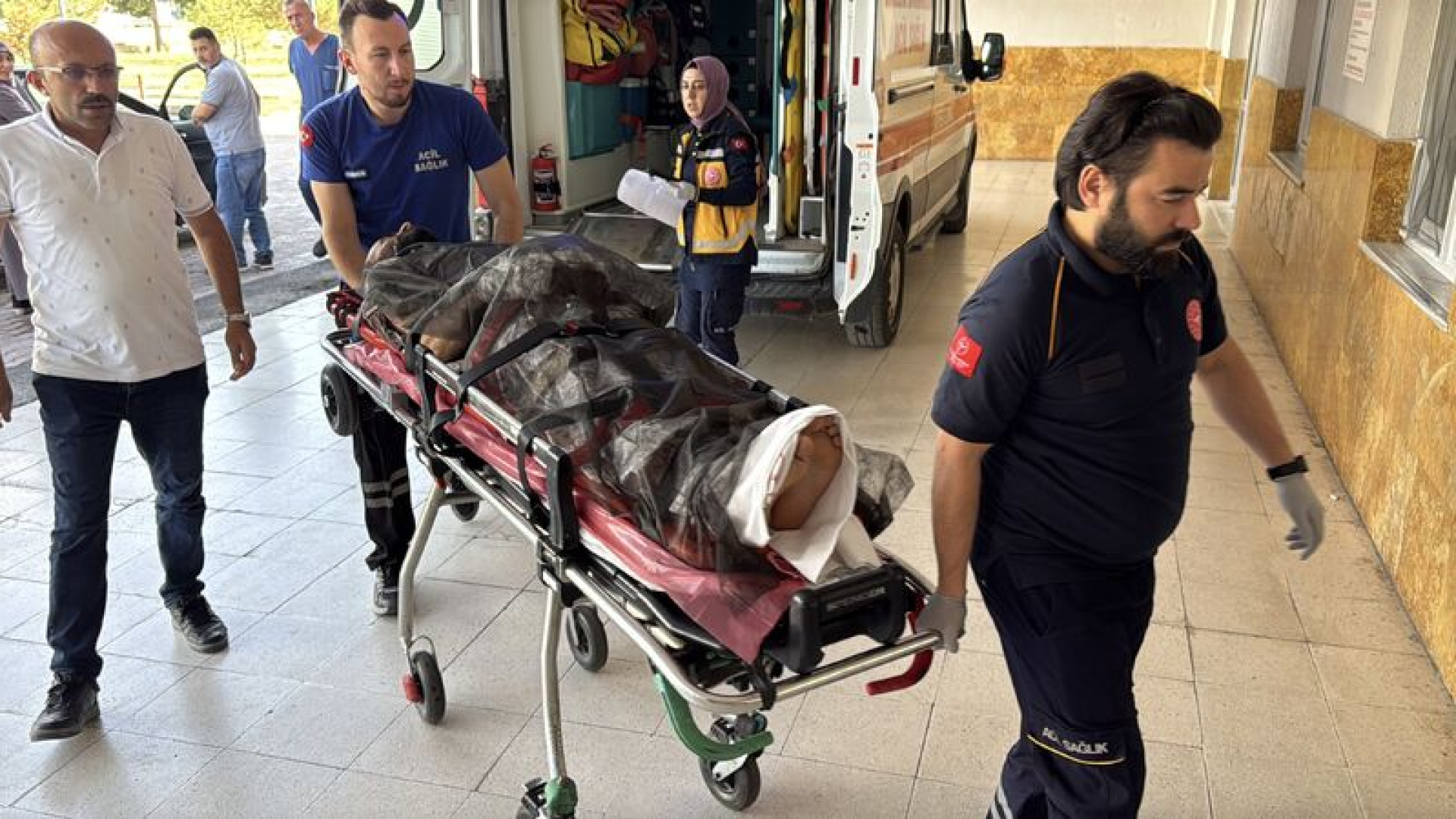 Sivas'ta çobanı ayı saldırısında yaralandı
