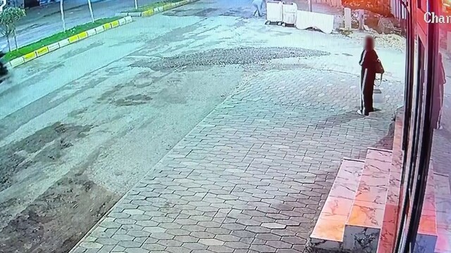 Adıyaman'da kadının kediye taşla vurduğu anlar kamerada
