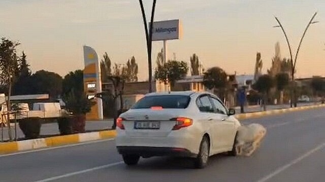 Akhisar'da karayoluna çıkan keçilere otomobil çarptı