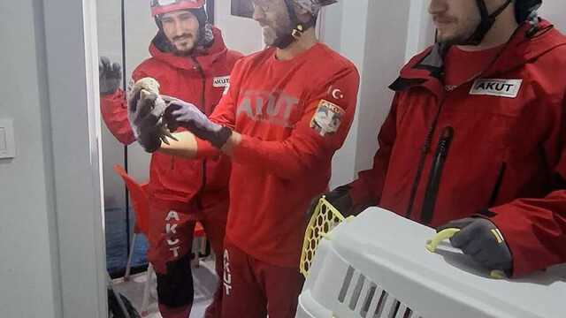 AKUT, havalandırma boşluğunda mahsur kalan baykuşu kurtardı