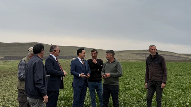 Akyaka Kaymakamı Demirtaş, şeker pancarı hasadına katıldı