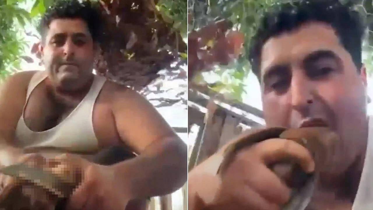 Alanya'da kuşlara işkence yapan kişi tutuklandı