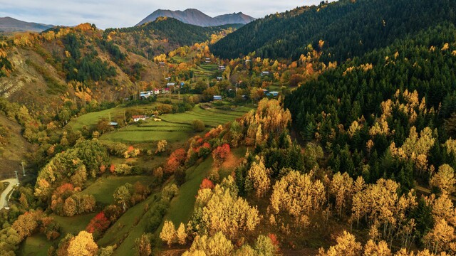 Artvin'de sonbahar renkleri doğa severleri büyülüyor