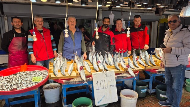 Bandirma'da palamut bollugu, vatandaşlar balık aliyor