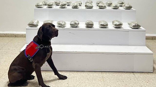 Başkale'de jandarma 10 kilo toz esrar ele geçirdi