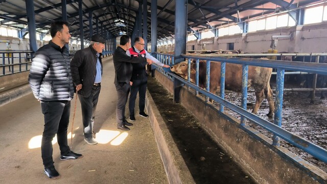 Bayburt'ta yüzde 50 hibe ile hayvancılık işletmesi kuruldu