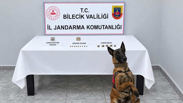 Bilecik'te narkotik köpeği uyuşturucuyu buldu