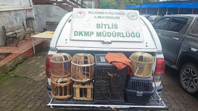 Bitlis'te kaçak avlanan keklikler doğaya salındı