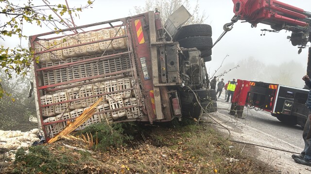 Bolu'da tavuk yüklü kamyon devrildi, 4 kişi yaralandı