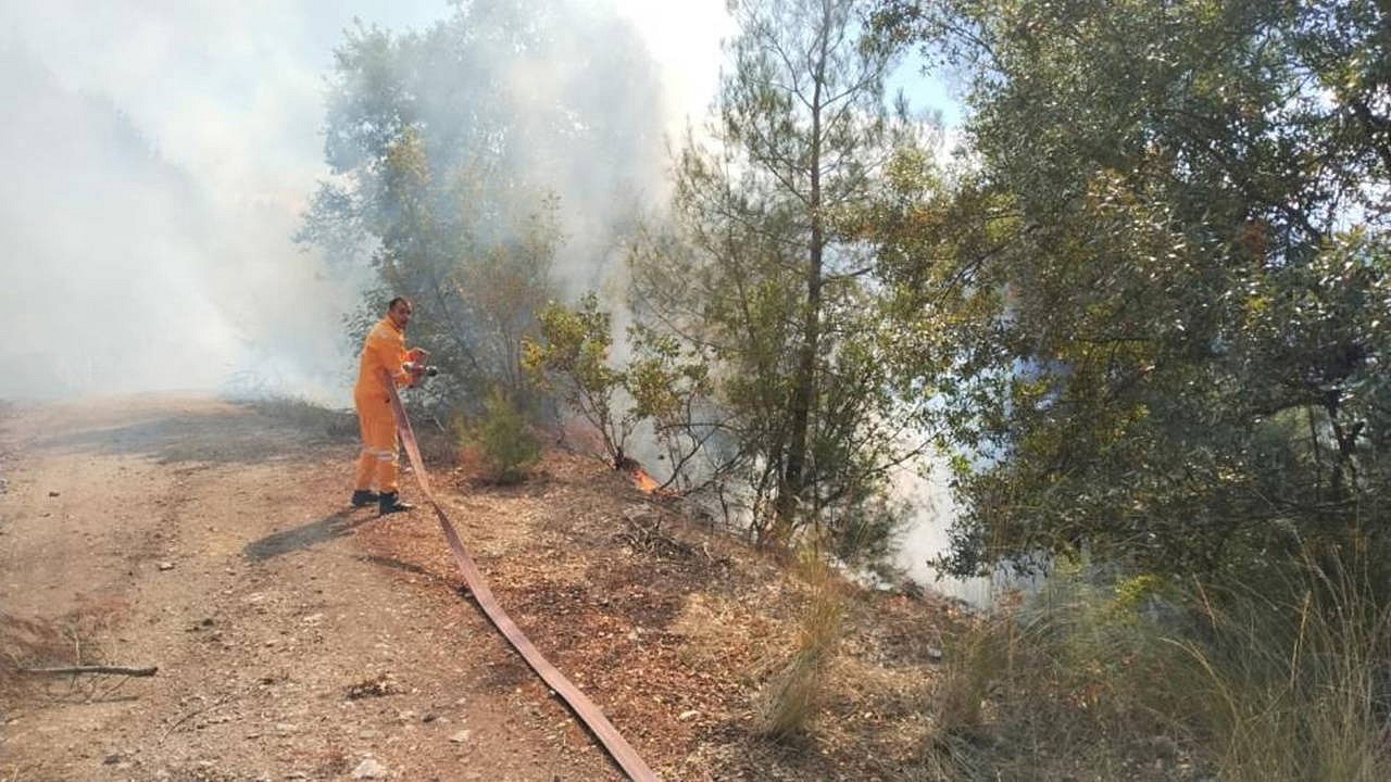 Bursa'da ormanlık alanda yangın çıkışı üzerine müdahale