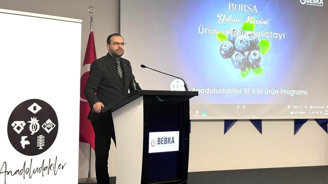 Bursa'da yaban mersini için yol haritası oluşturuluyor