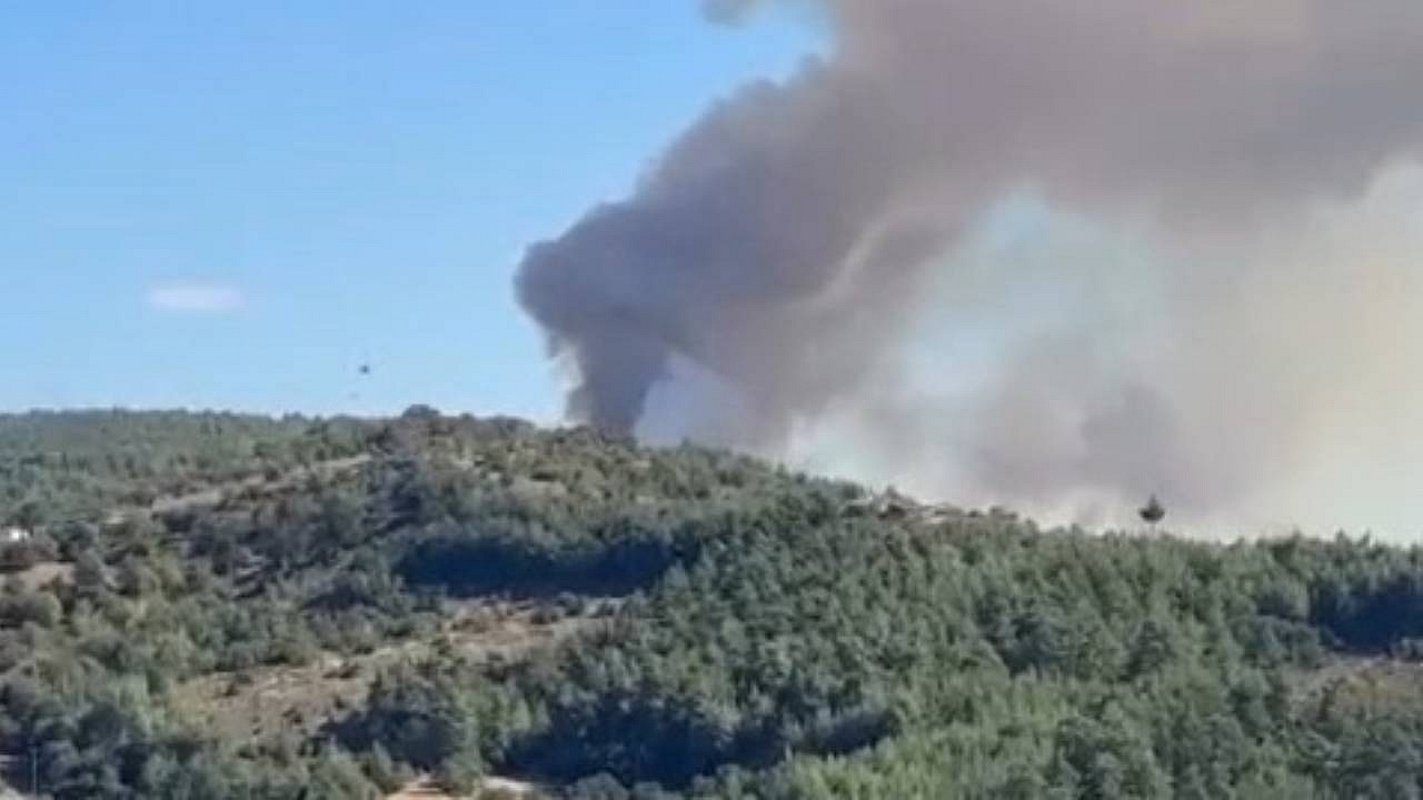 Bursa'nın Piribeyler Mahallesi'nde orman yangını başladı