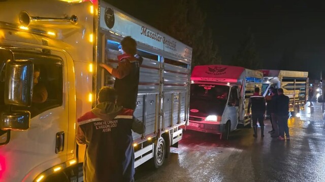 Çine hayvan pazarı veteriner denetimleriyle yeniden açıldı