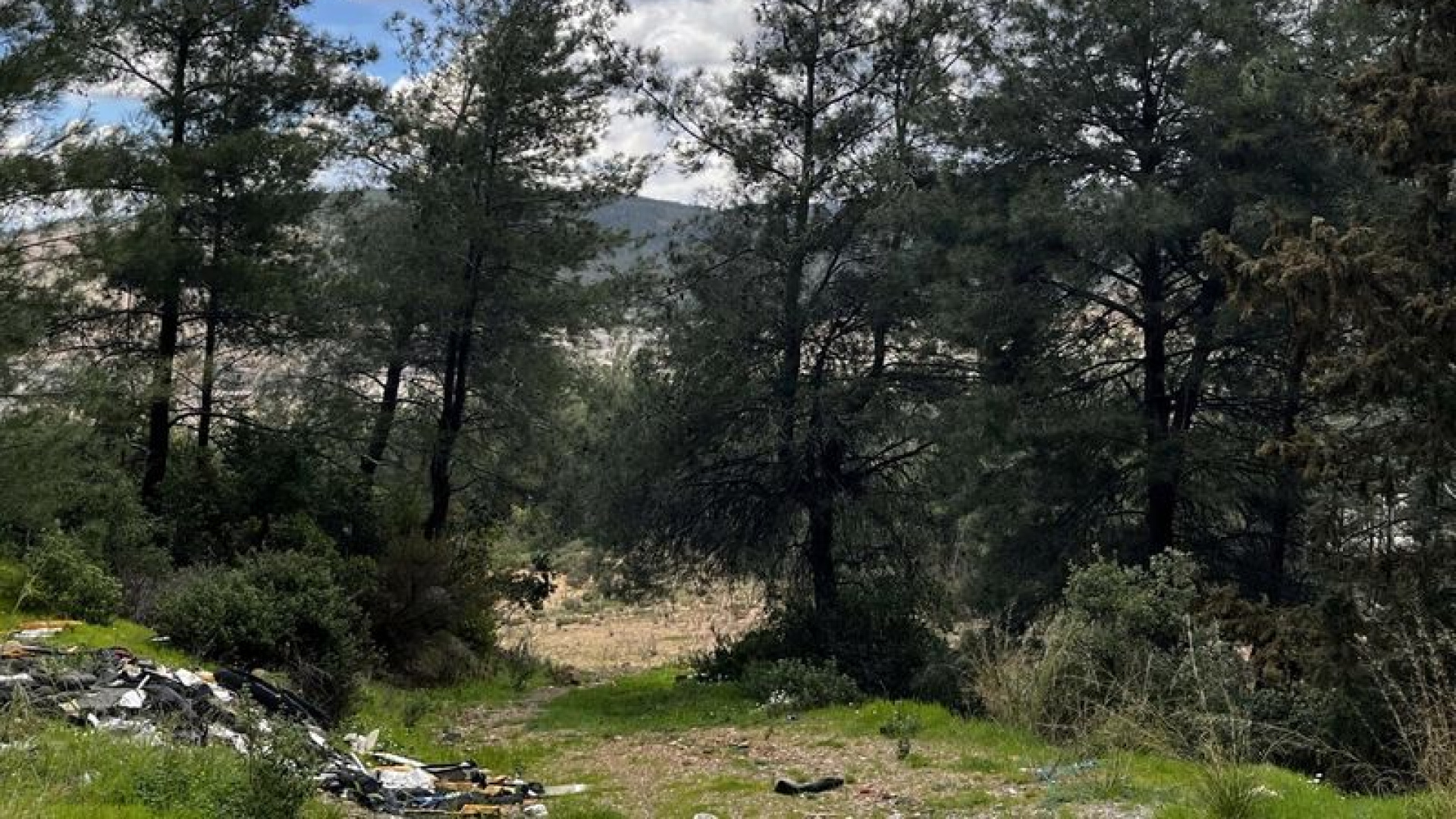 Danıştay'dan Akbelen ormanı için acele kamulaştırma kararı